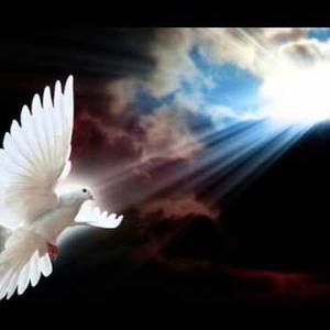 Meet your Posher, Marlen